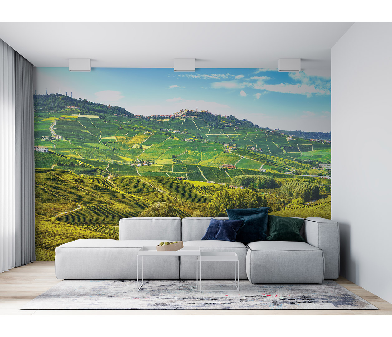 Vinice Barolo, Piedmont, Itálie